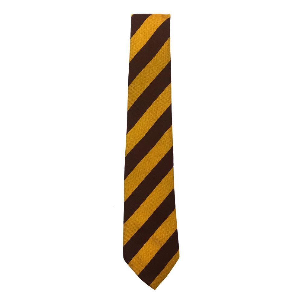 St Ronans Primary Tie