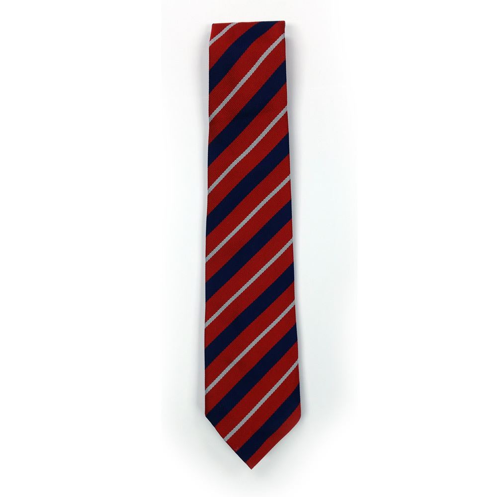 Bishopton Primary Tie