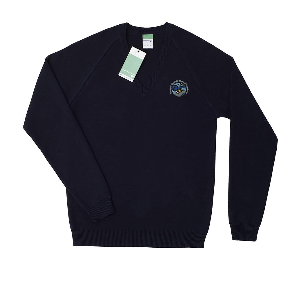 Govan Gaelic Primary 50/50 V-Neck Navy