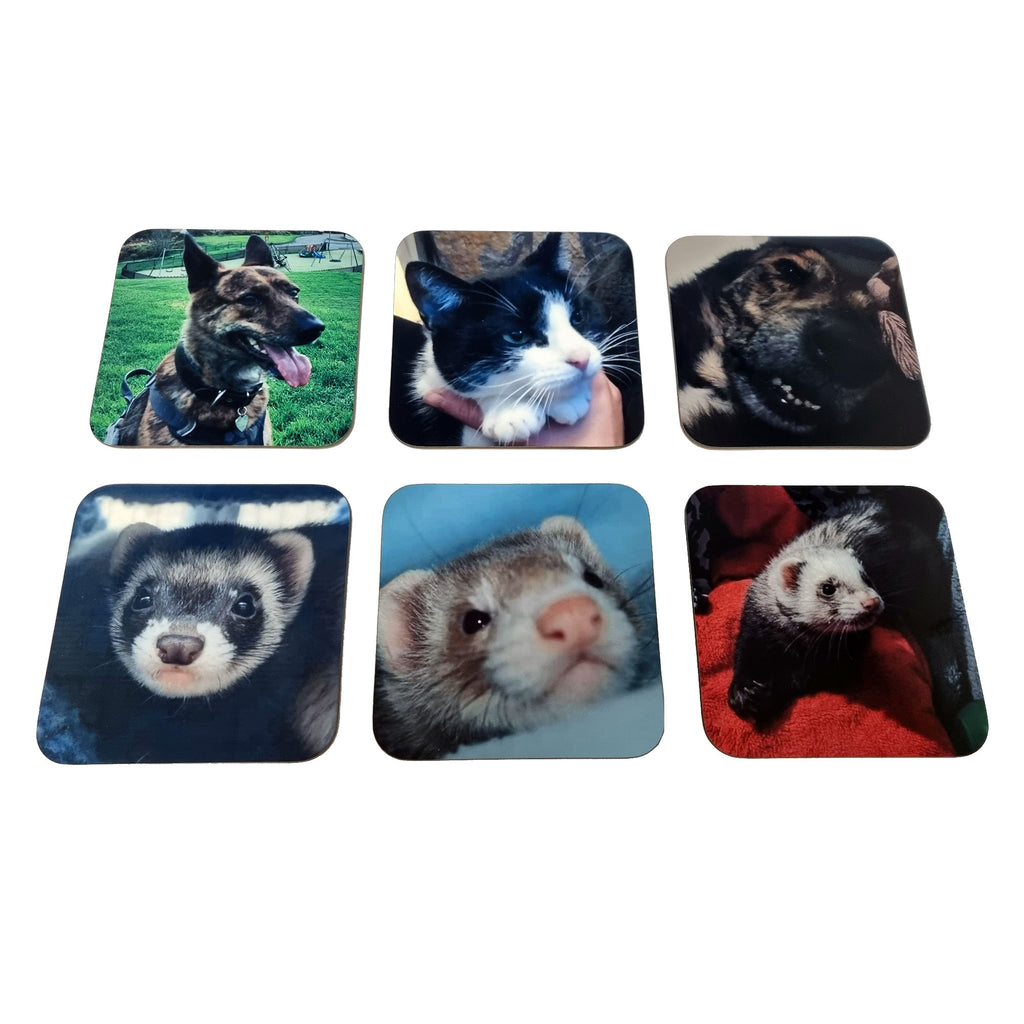 Customised Pet Coasters