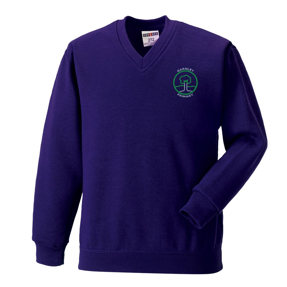 Darnley Primary V-Neck Sweatshirt Purple