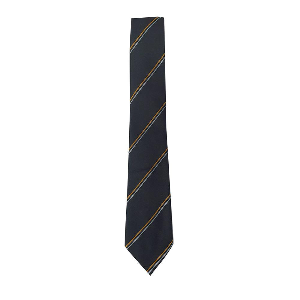 St Matthews Academy Striped Tie