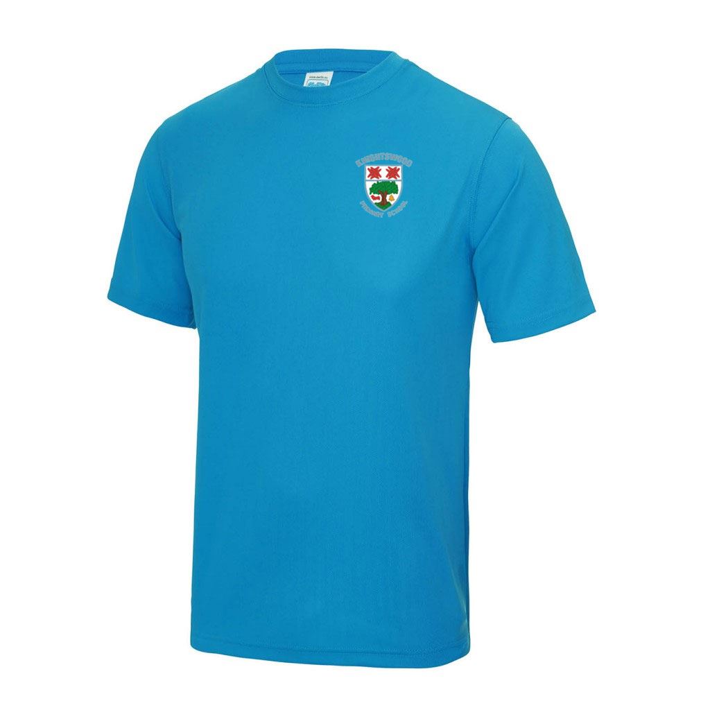 Knightswood Primary T-Shirt Sapphire Blue