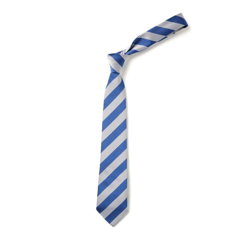 Dairsie Primary Tie