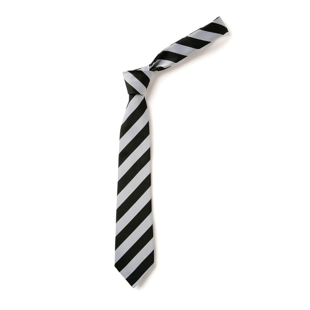 Ashpark Primary Tie