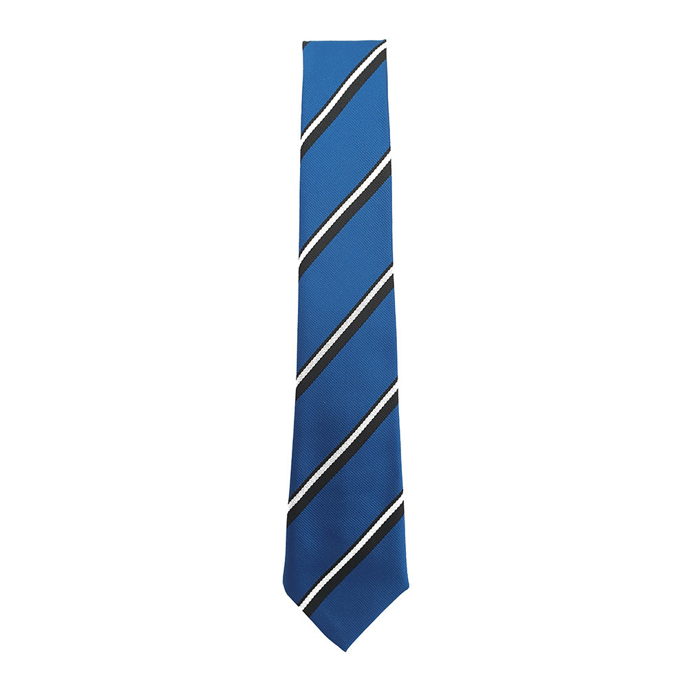 Houston Primary Tie