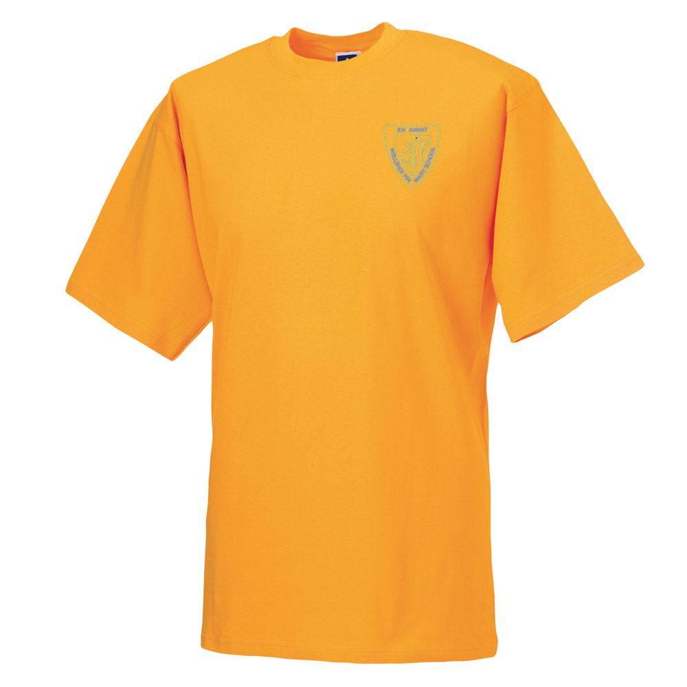 Wellshot Primary Classic T-Shirt Gold