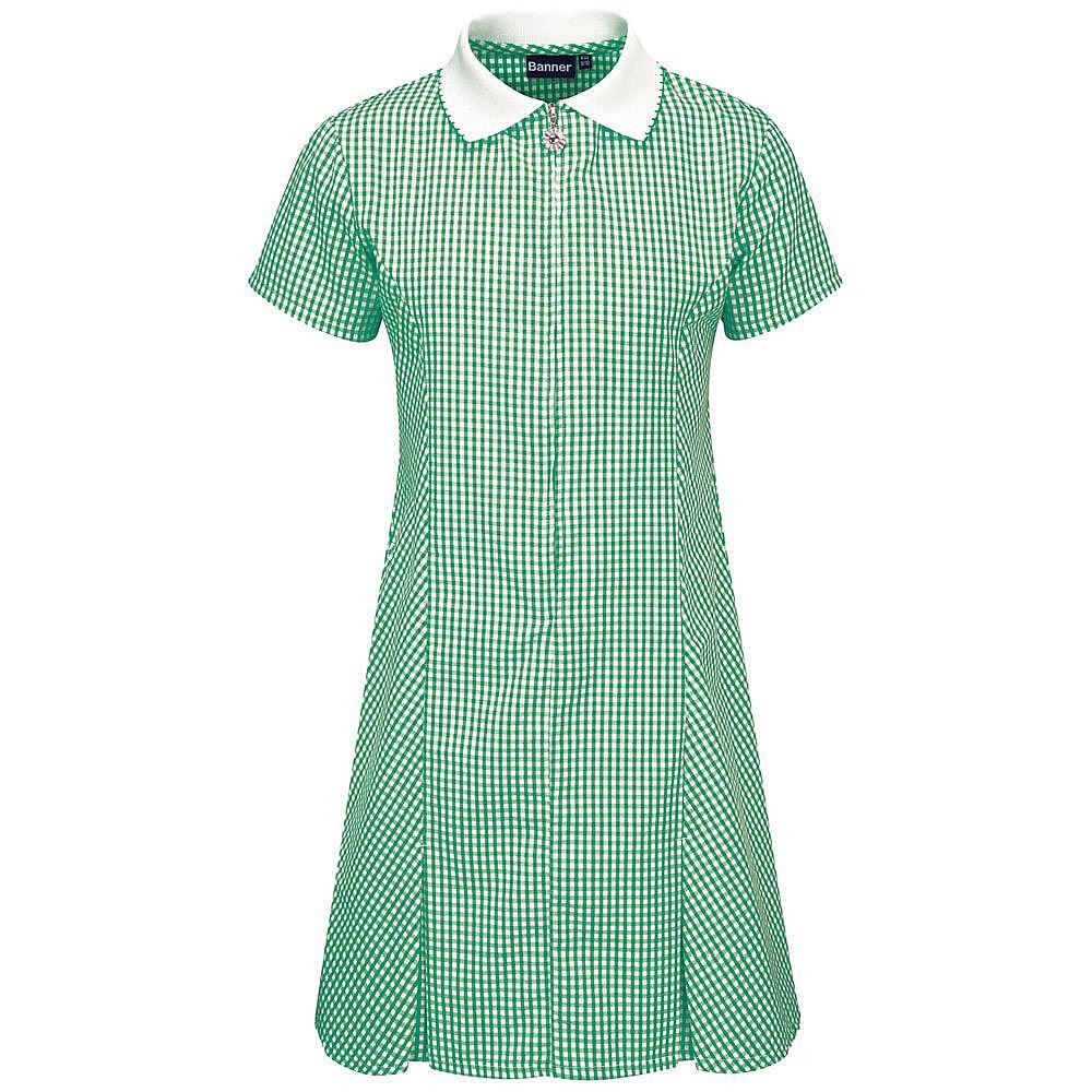 Avon Gingham Dress Green