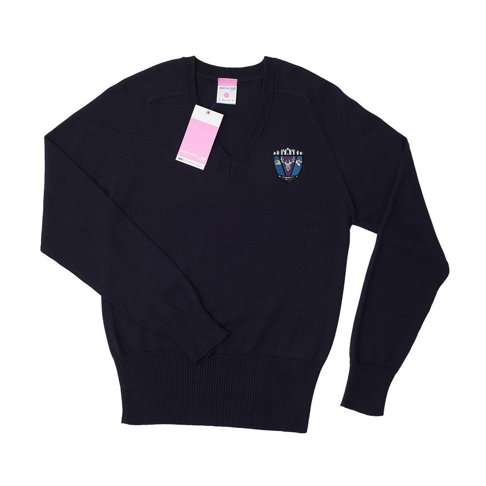 Alness Academy Unisex Cotton V-Neck Navy