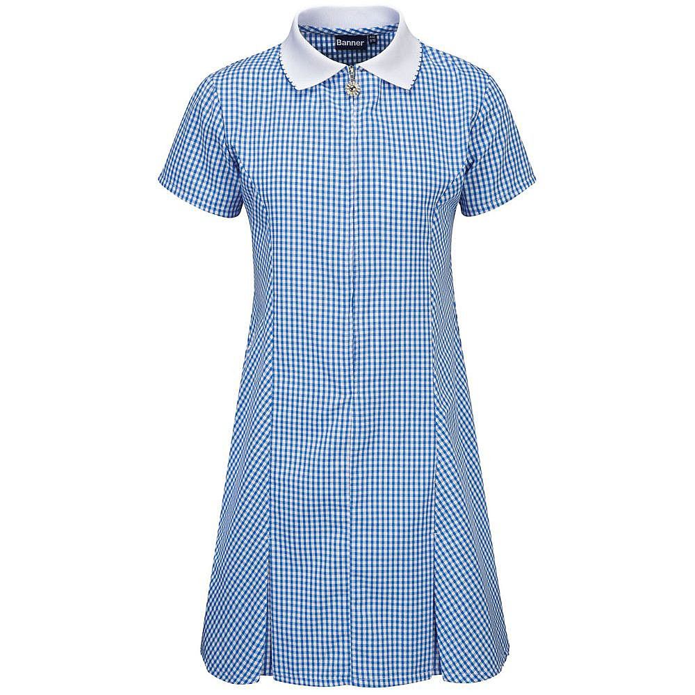 Avon Gingham Dress Blue