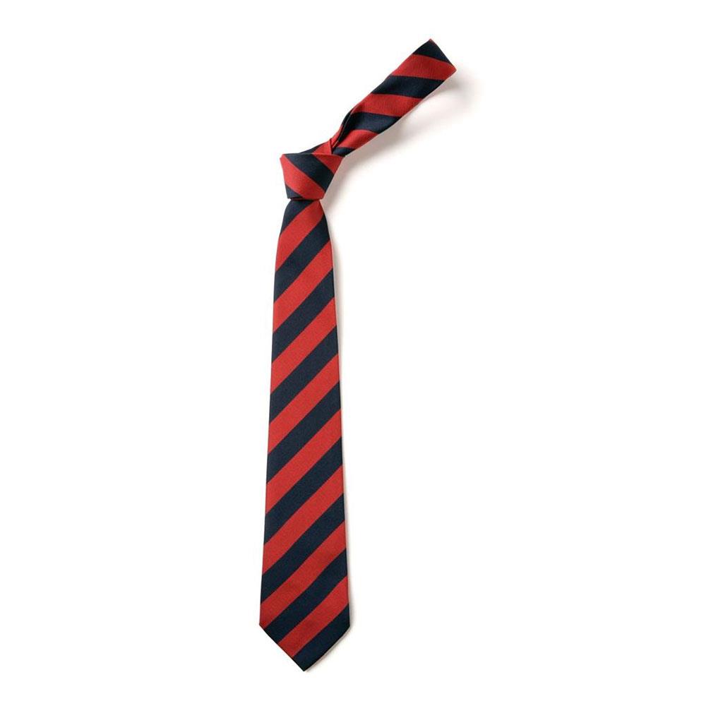 Carmyle Primary Tie