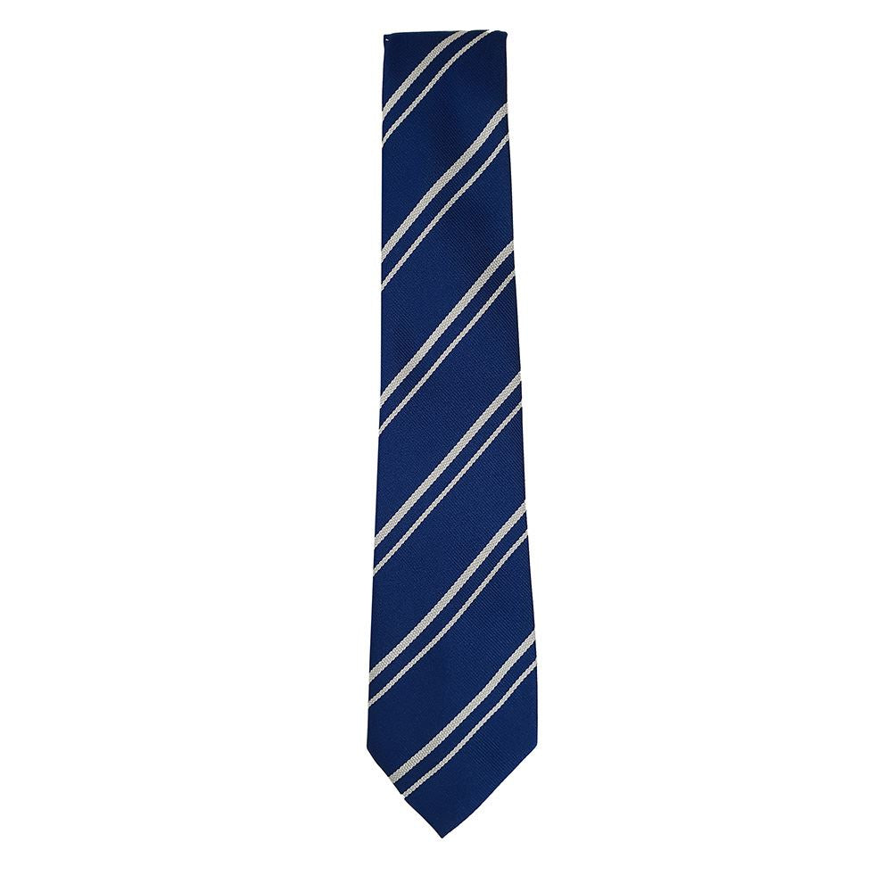 Newmains Primary Tie