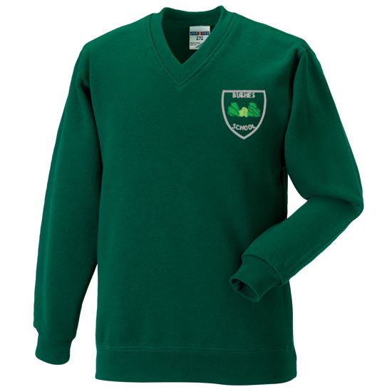 Bushes Primary V-Neck Sweatshirt Green
