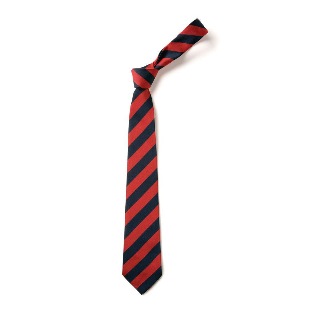 Bridge of Weir Primary Tie