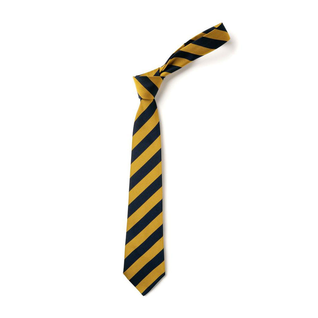 Eaglesham Primary Tie