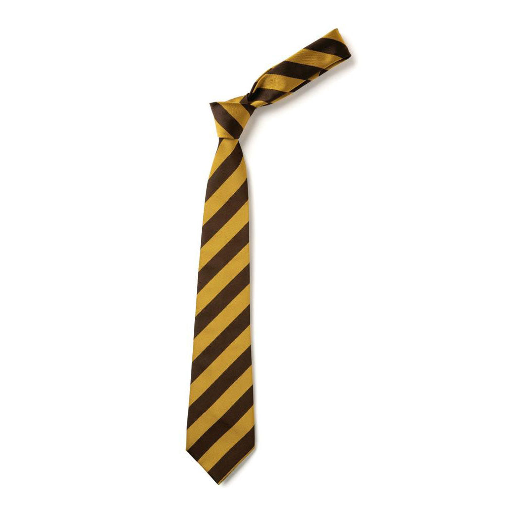 St Ronans Primary Tie