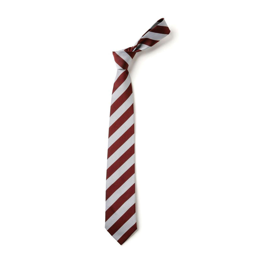 Kirklandneuk Primary Tie (Primary 7)