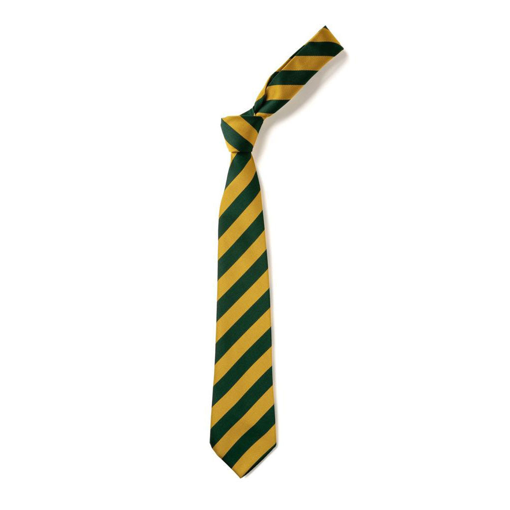 St Davids Primary Tie