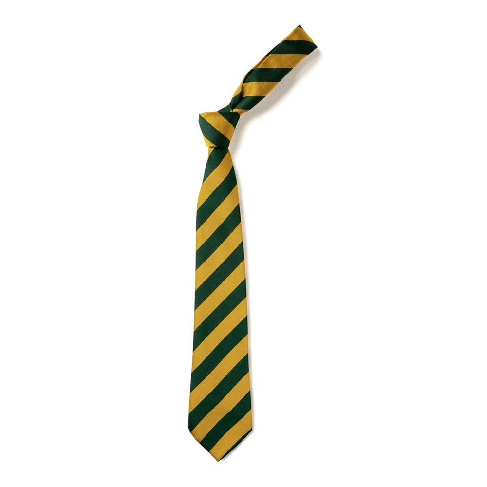 St Davids Primary Tie