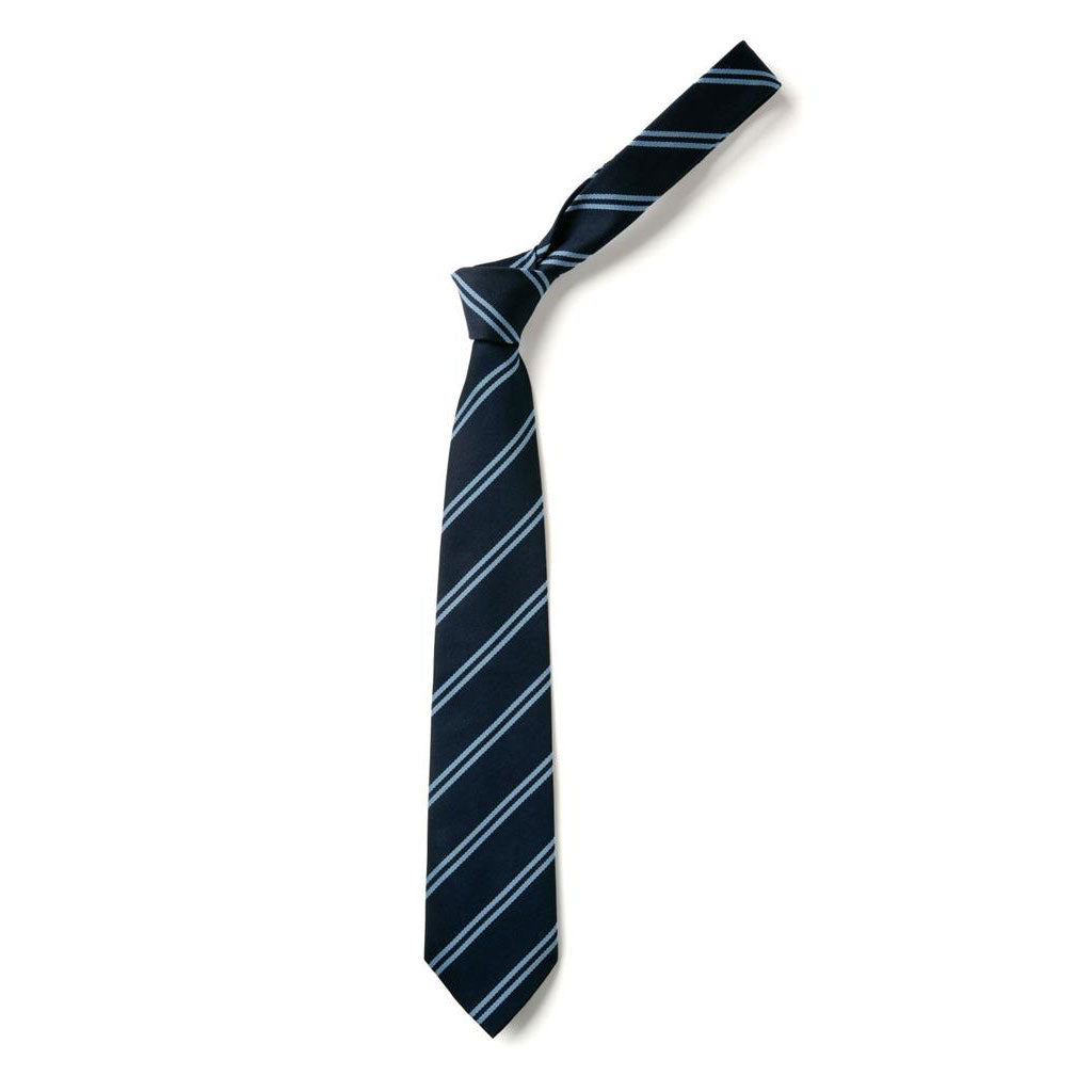 Charleston Academy Tie