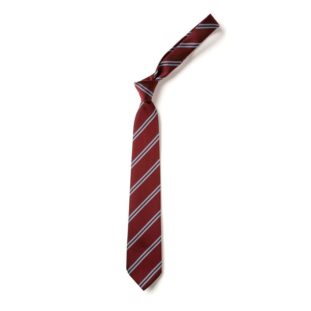 Howwood Primary Tie