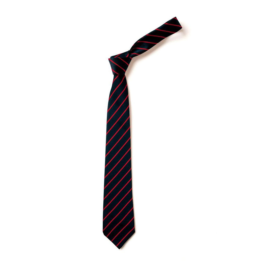 Castlehill Primary Tie