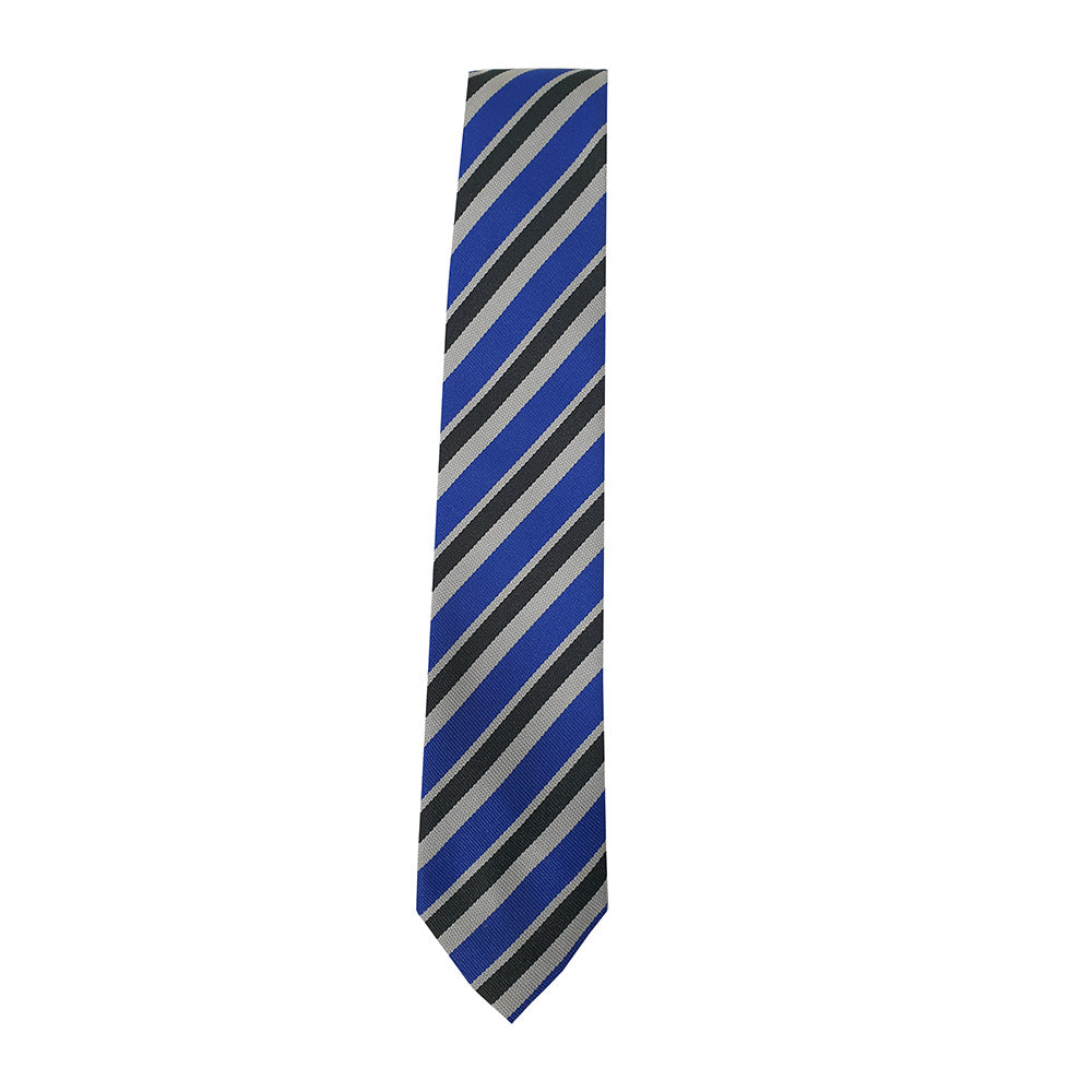 Lochwinnoch Primary Tie