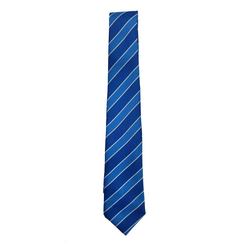 St John Bosco Primary Tie