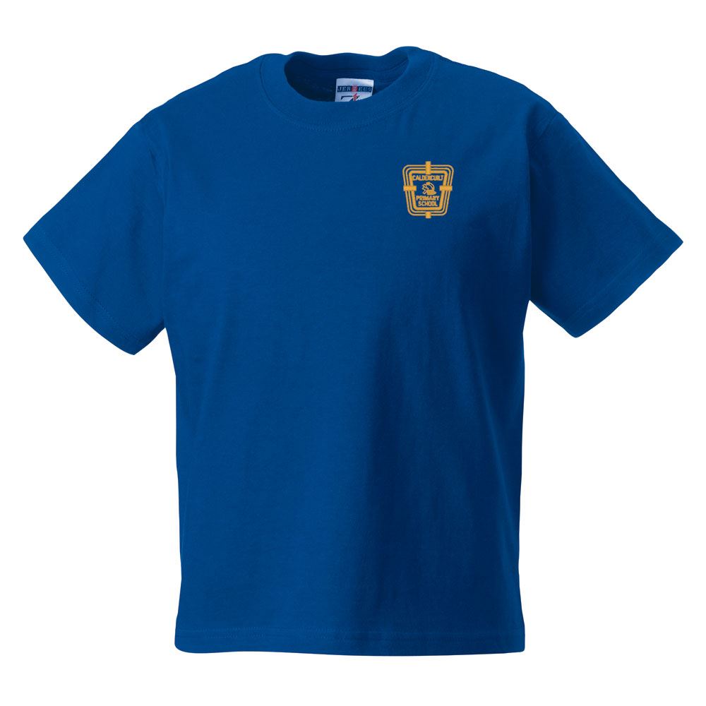 Caldercuilt Primary Classic T-Shirt Royal