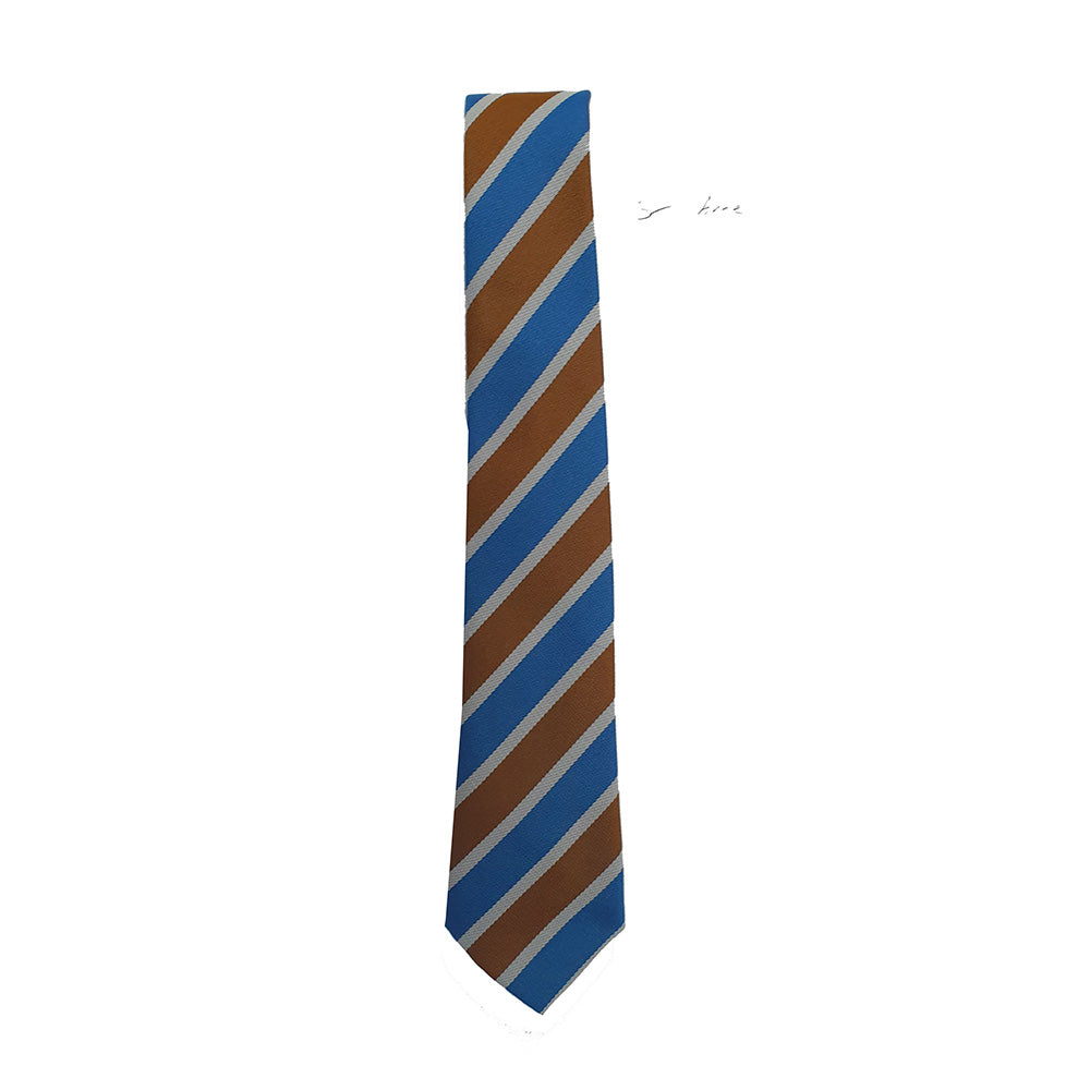 St Annes Primary Tie