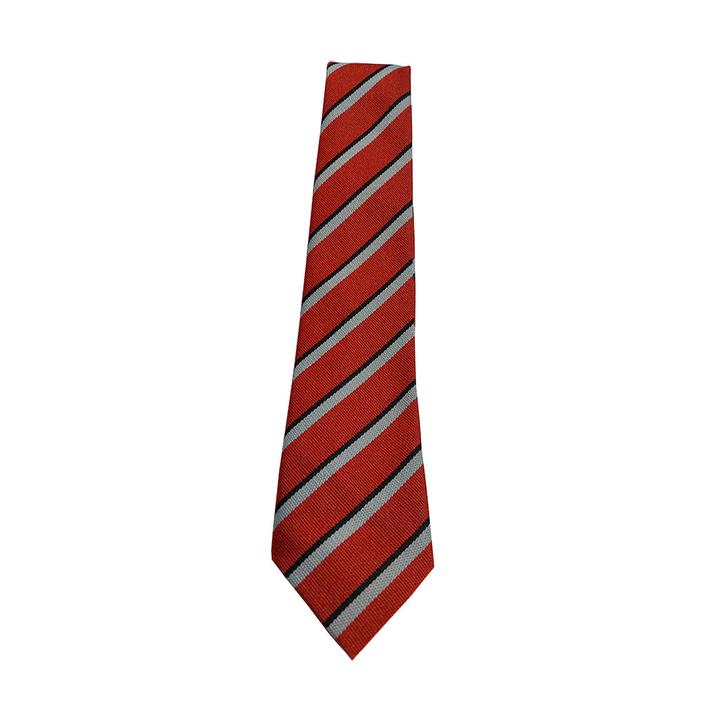 St Pauls Primary Tie