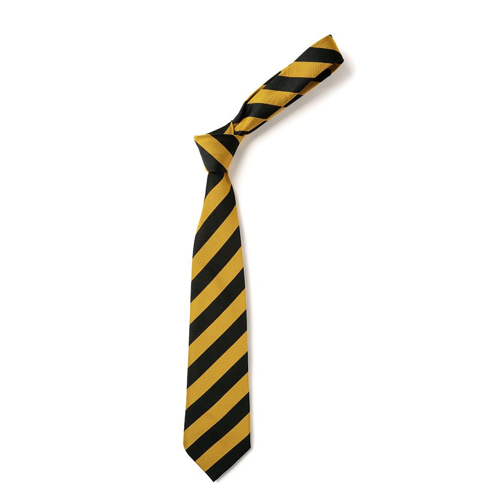 Thornliebank Primary Tie