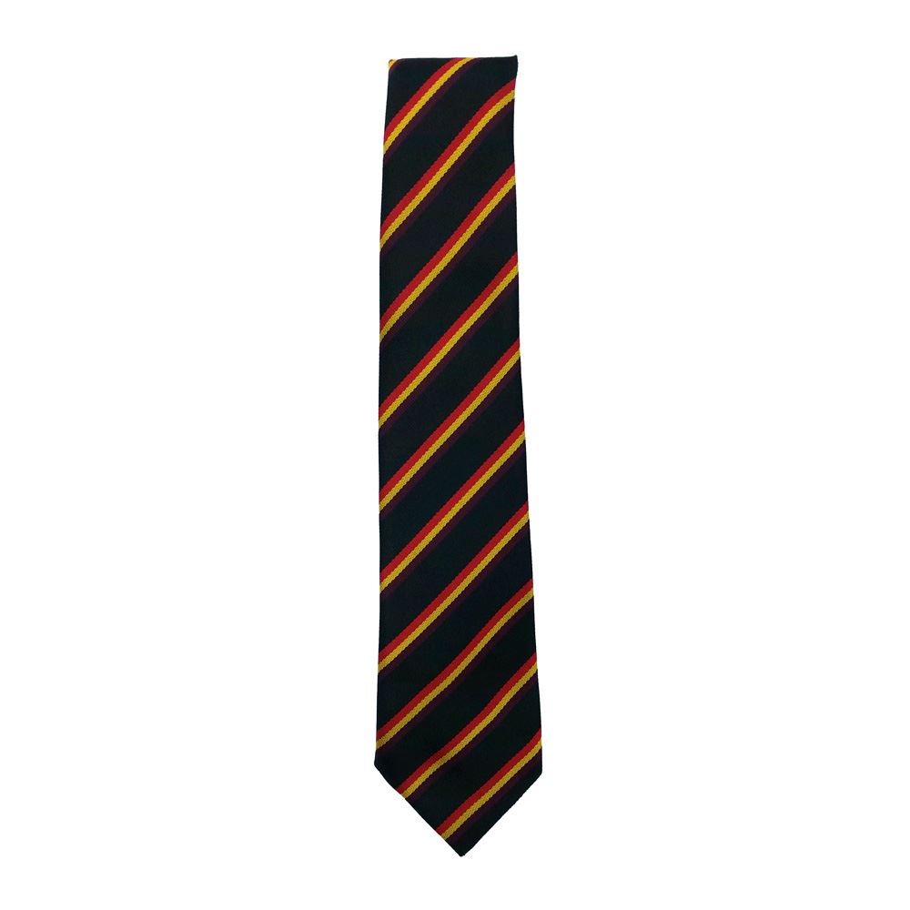 Dreghorn Primary Tie