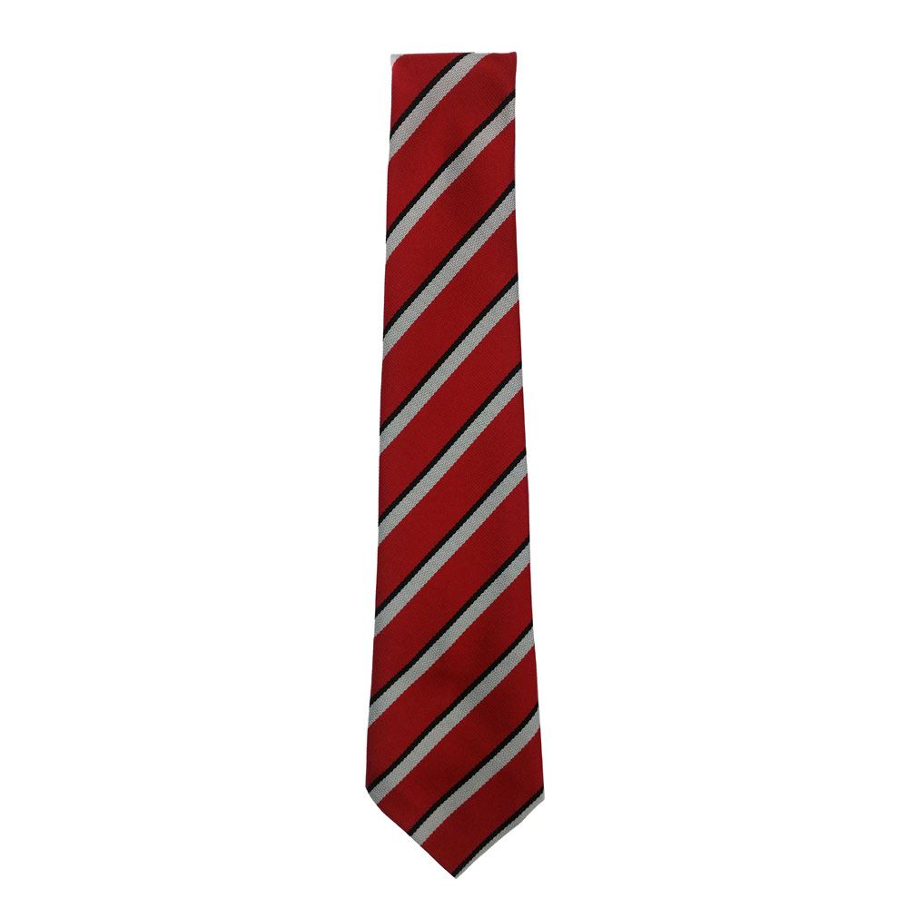 Carolside Primary Tie