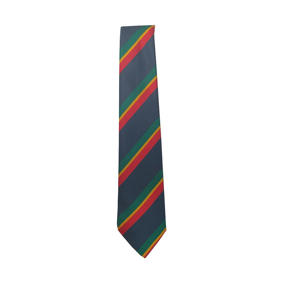 Bearsden Primary Tie