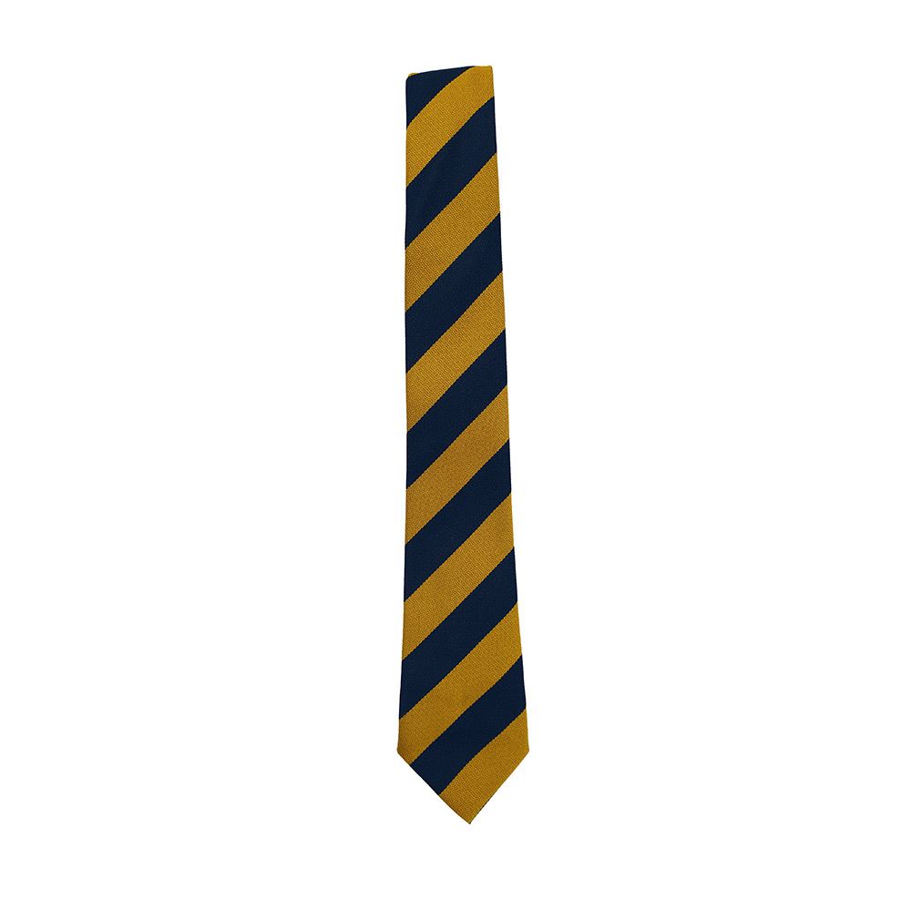 Eaglesham Primary Tie
