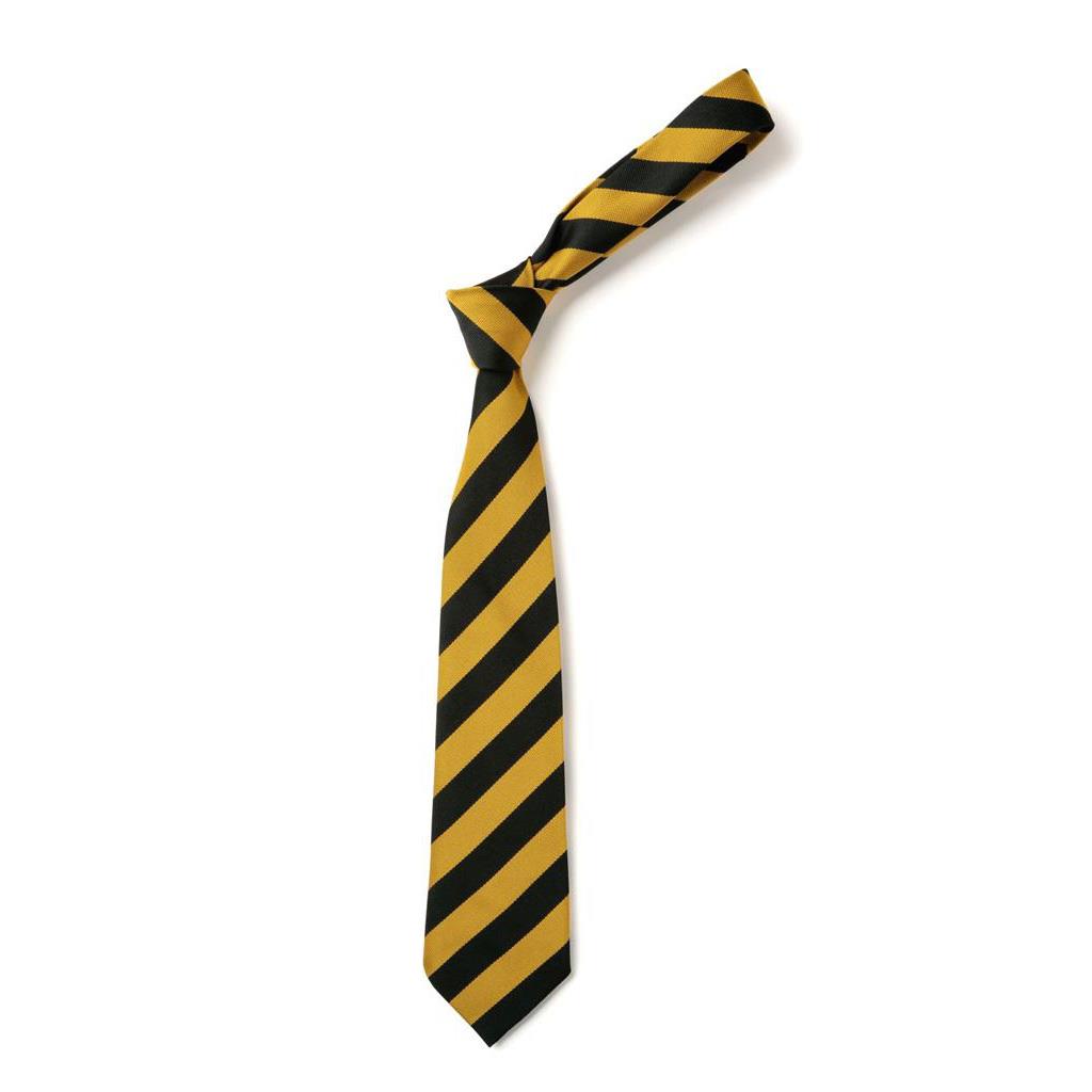 Knoxland Primary Tie
