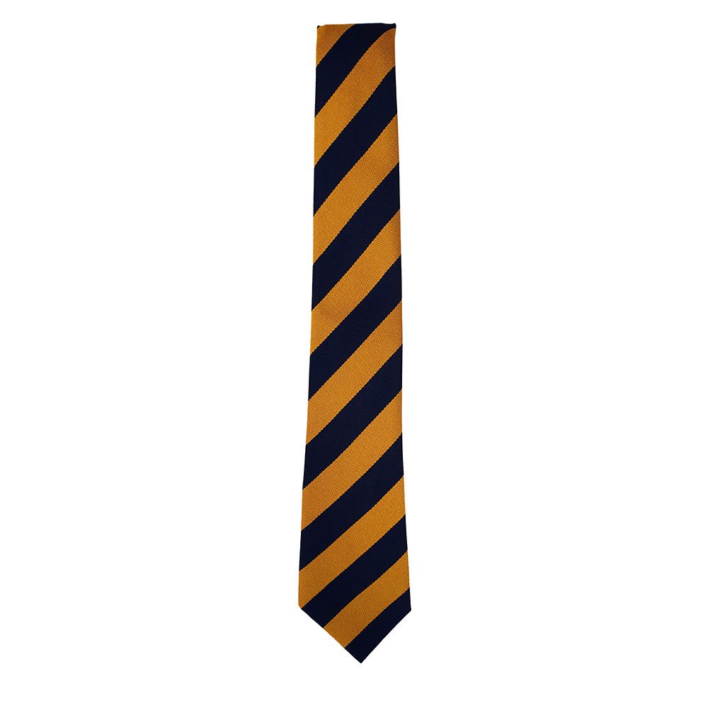 Elmvale Primary Tie