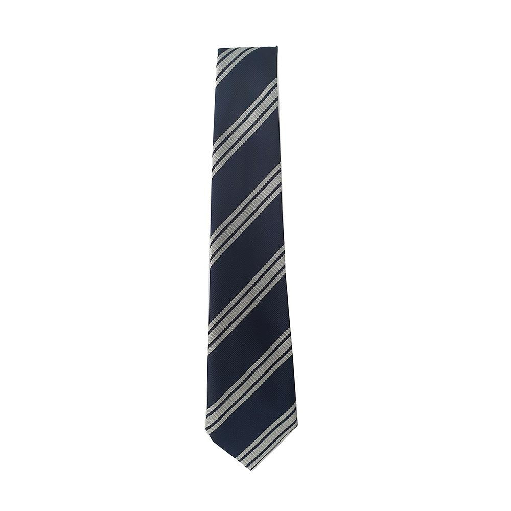 Baldernock Primary Tie