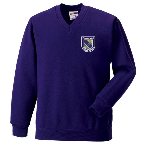 Downfield Primary V-Neck Sweatshirt Purple
