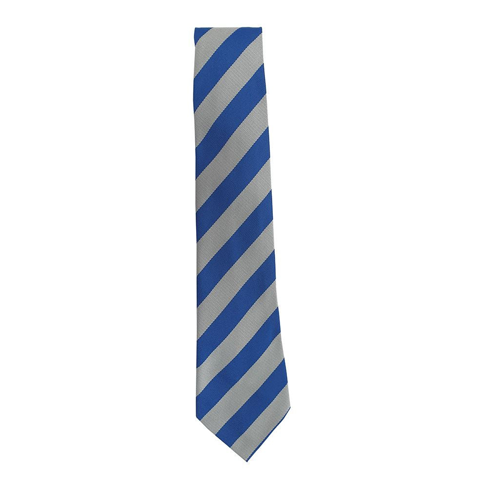 Mount Vernon Primary Tie