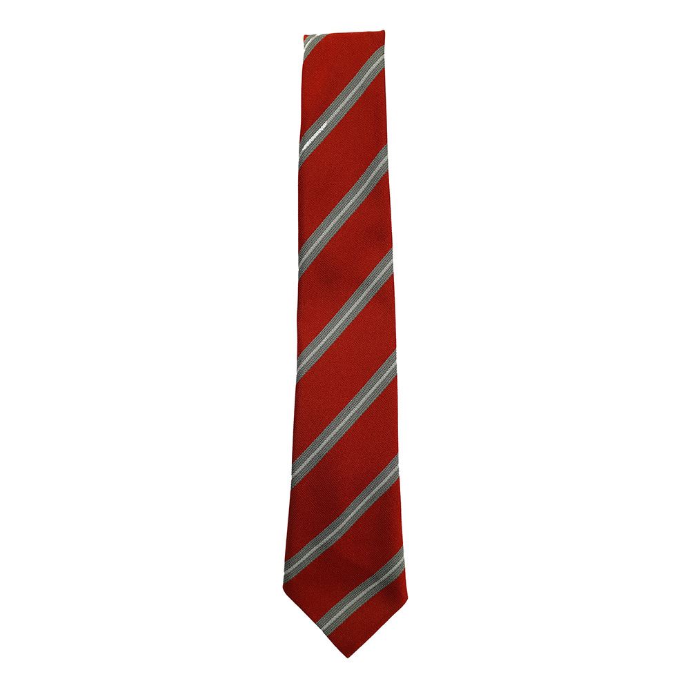 Annick Primary Tie
