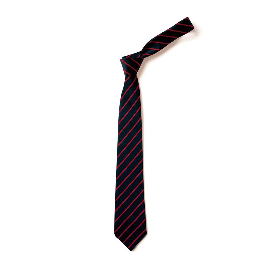 Castlehill Primary Tie