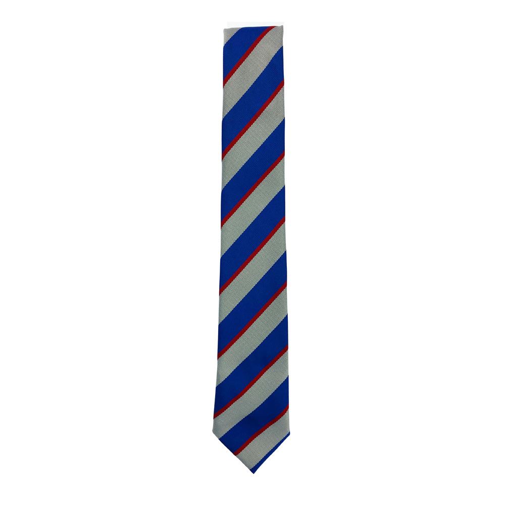 Thorn Primary Tie