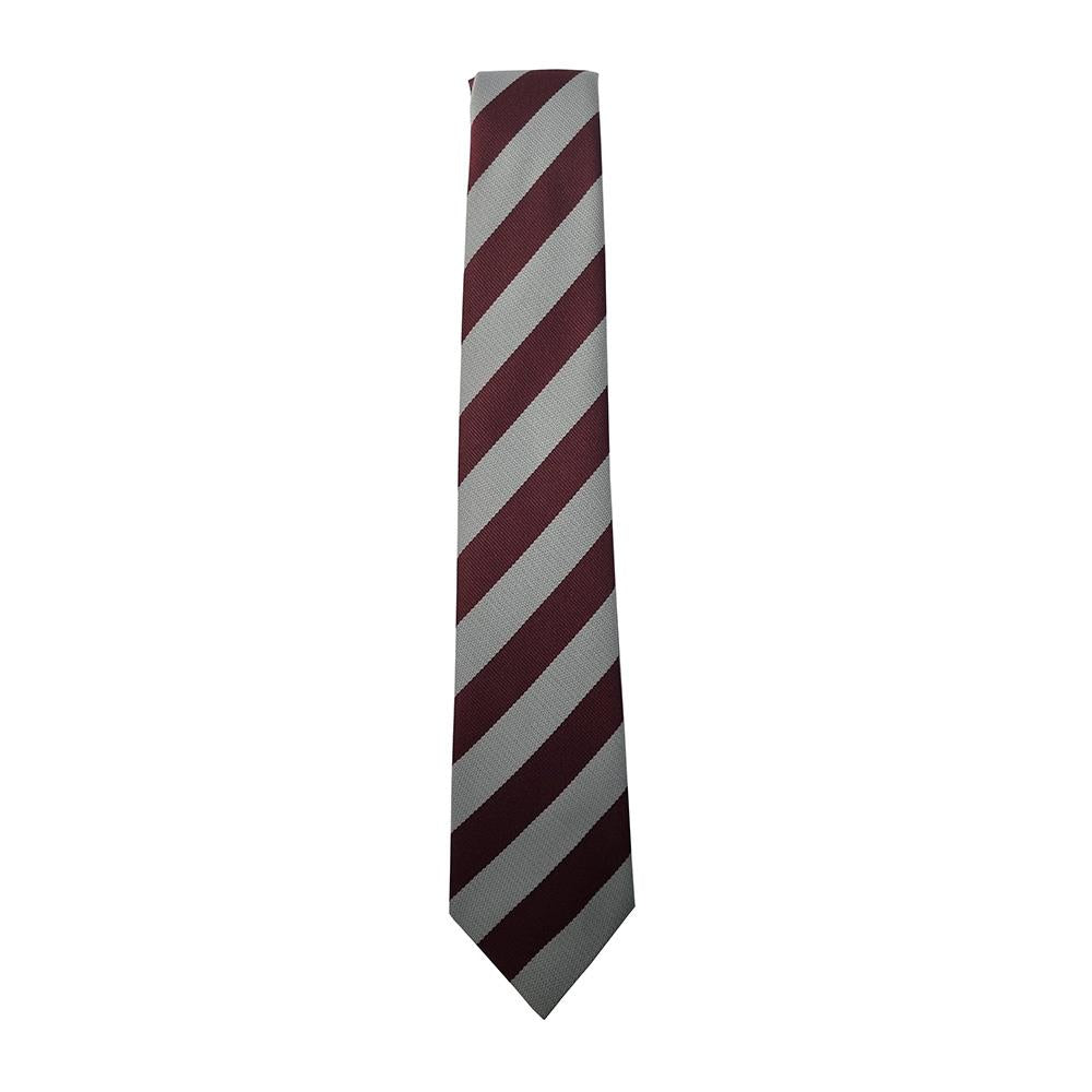 Kirklandneuk Primary Tie (Primary 7)