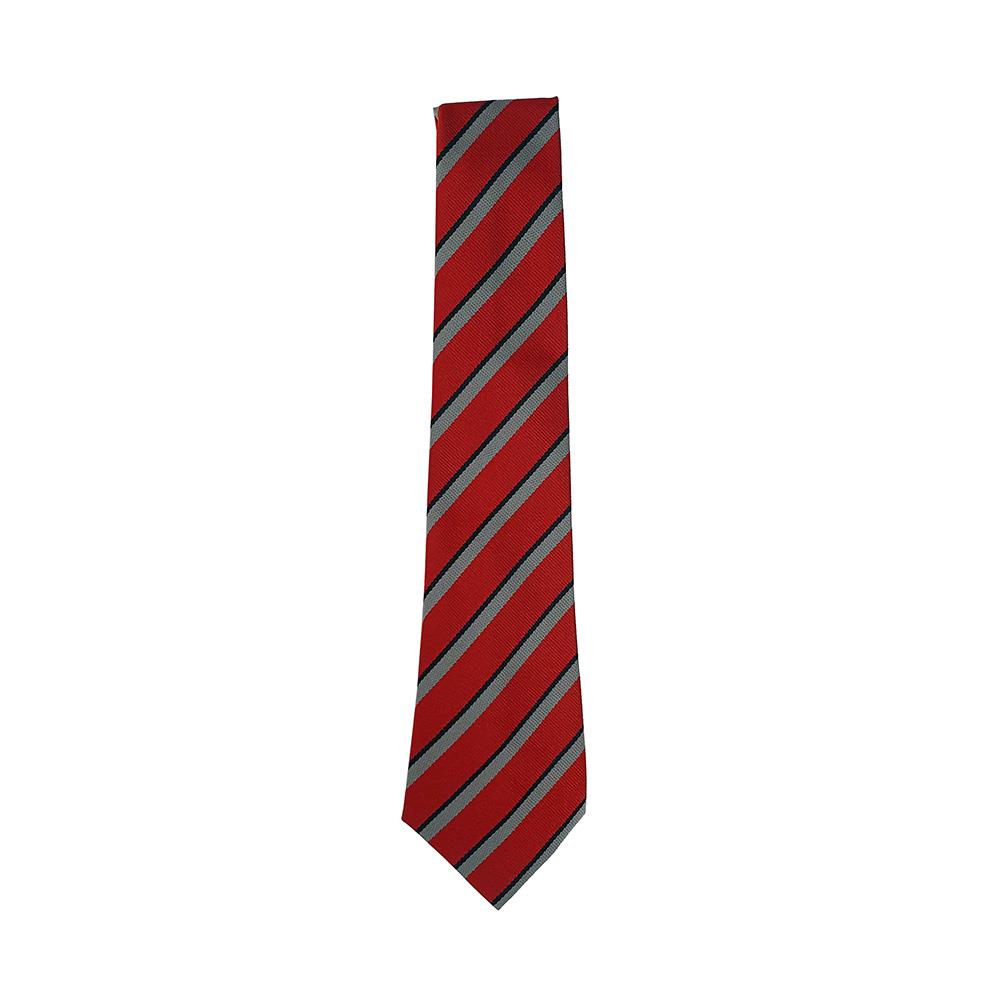 Gartocharn Primary Tie