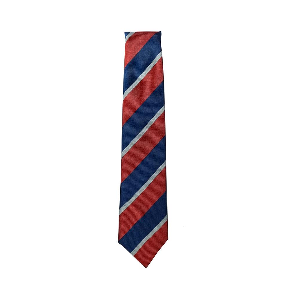 Castlehill Primary Bearsden Tie